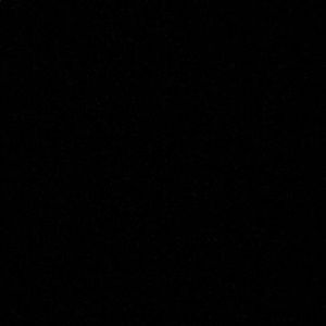 Meet your Posher, Abigail